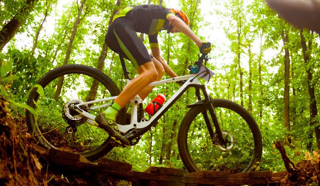 Michigan lodge and inn