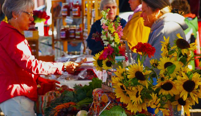 Michigan inn and lodge
