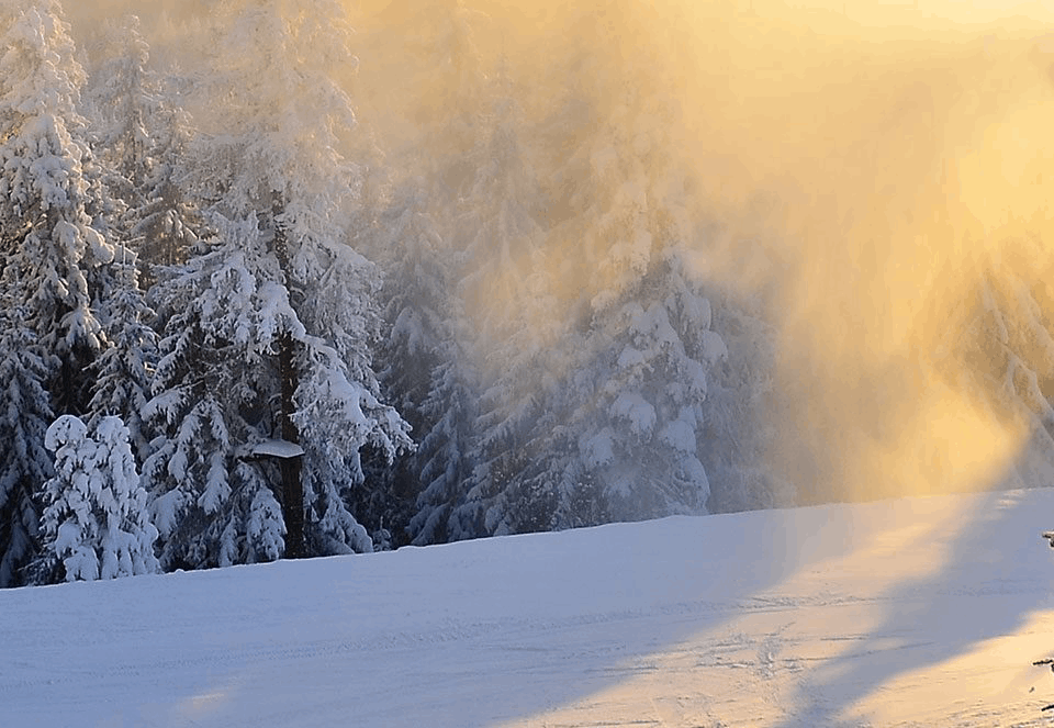 Gaylord Michigan ski resort